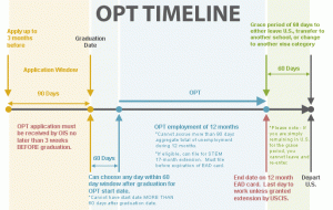 OPT-timeline